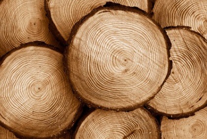 تعرفه واردات چوب